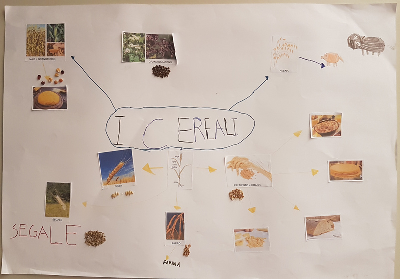 Gli animali e i cereali nel progetto memoria · Trabiccolo con scaldaletto ·  Archivio Ecomuseo della Valle dei Laghi