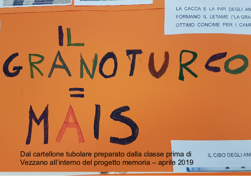 Gli animali e i cereali nel progetto memoria · Trabiccolo con scaldaletto ·  Archivio Ecomuseo della Valle dei Laghi