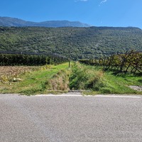 Fòs dei migranti