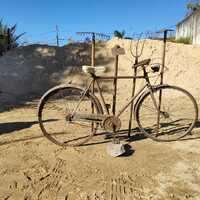 Bicicletta emigrata in Argentina