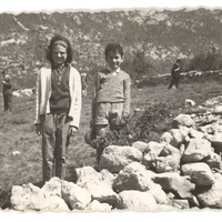 Fratelli alla festa degli alberi