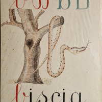Alfabetiere artistico - biscia